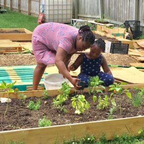 image of two people working in garden.