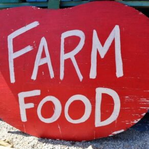 Image of a sign in the shap of a tomato that reads "farm foods"